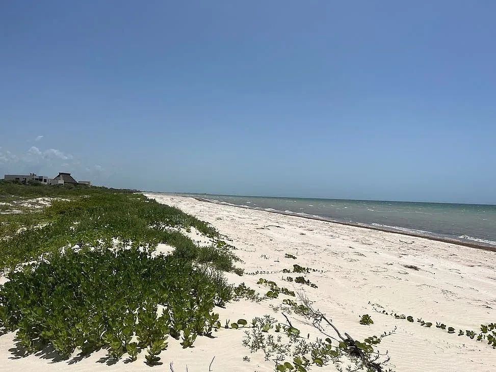 Lot in Sisal, Hunucmá, photo 16 of 17