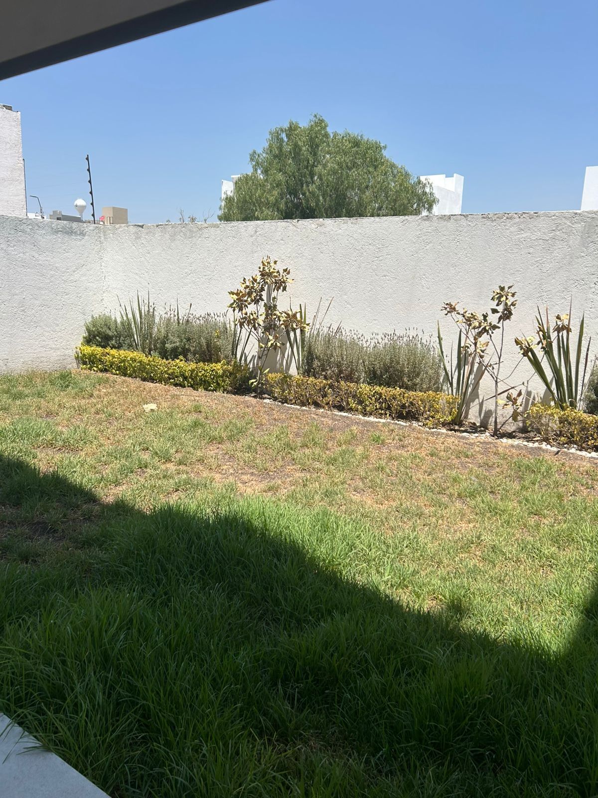 6 de 30