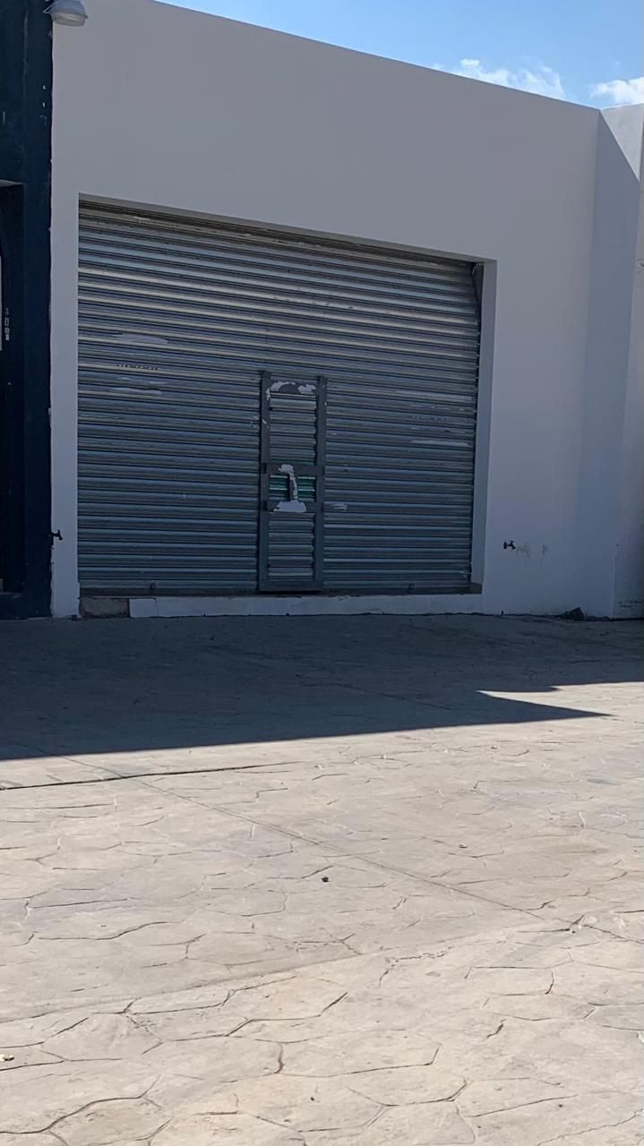 6 de 13