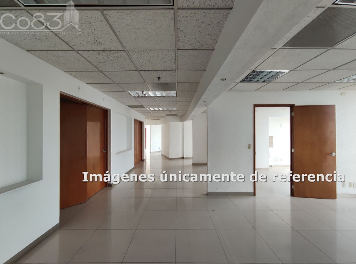 6 de 14