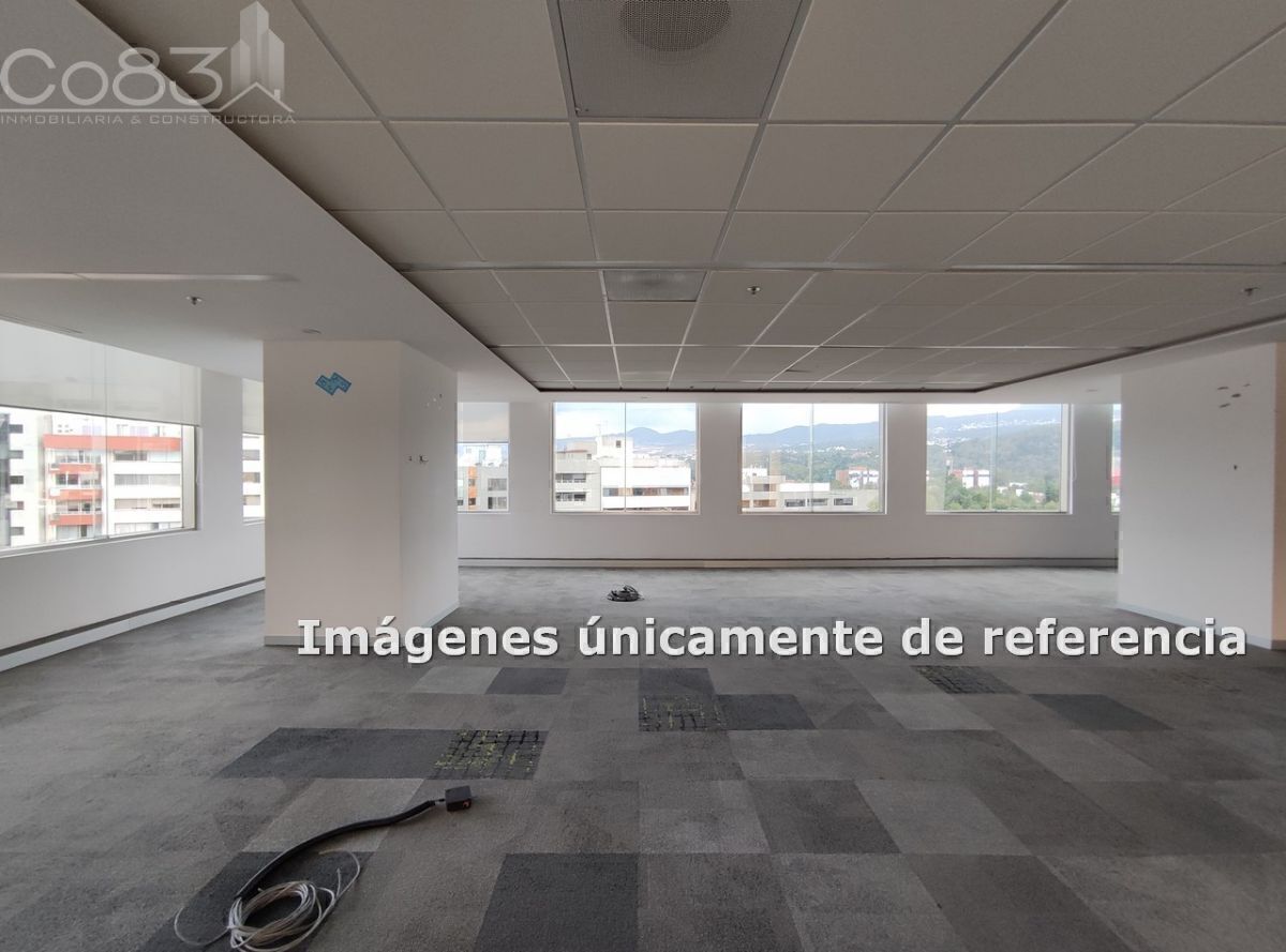 10 de 14
