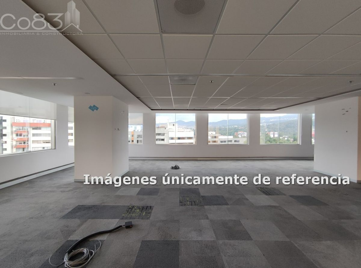 12 de 14
