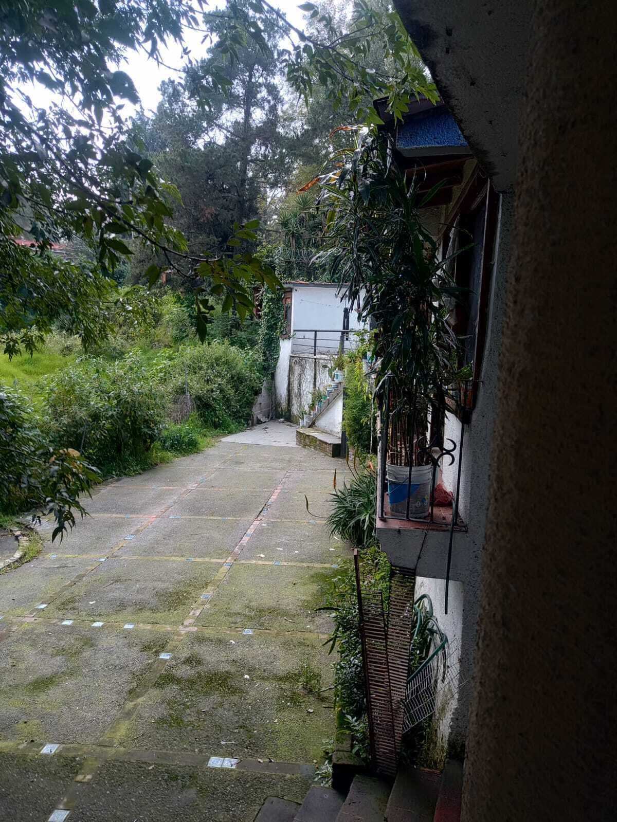 5 de 13