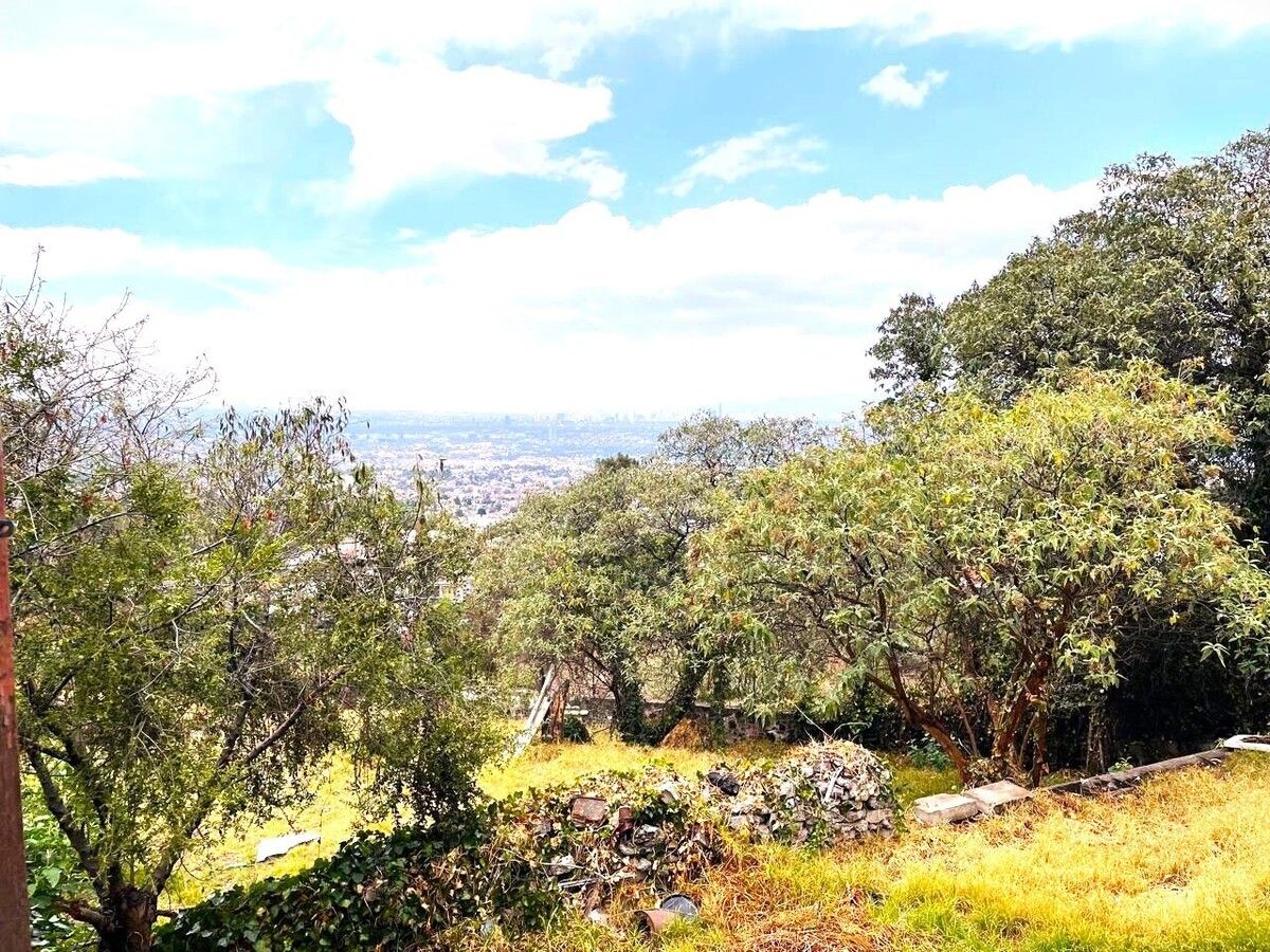 3 de 23
