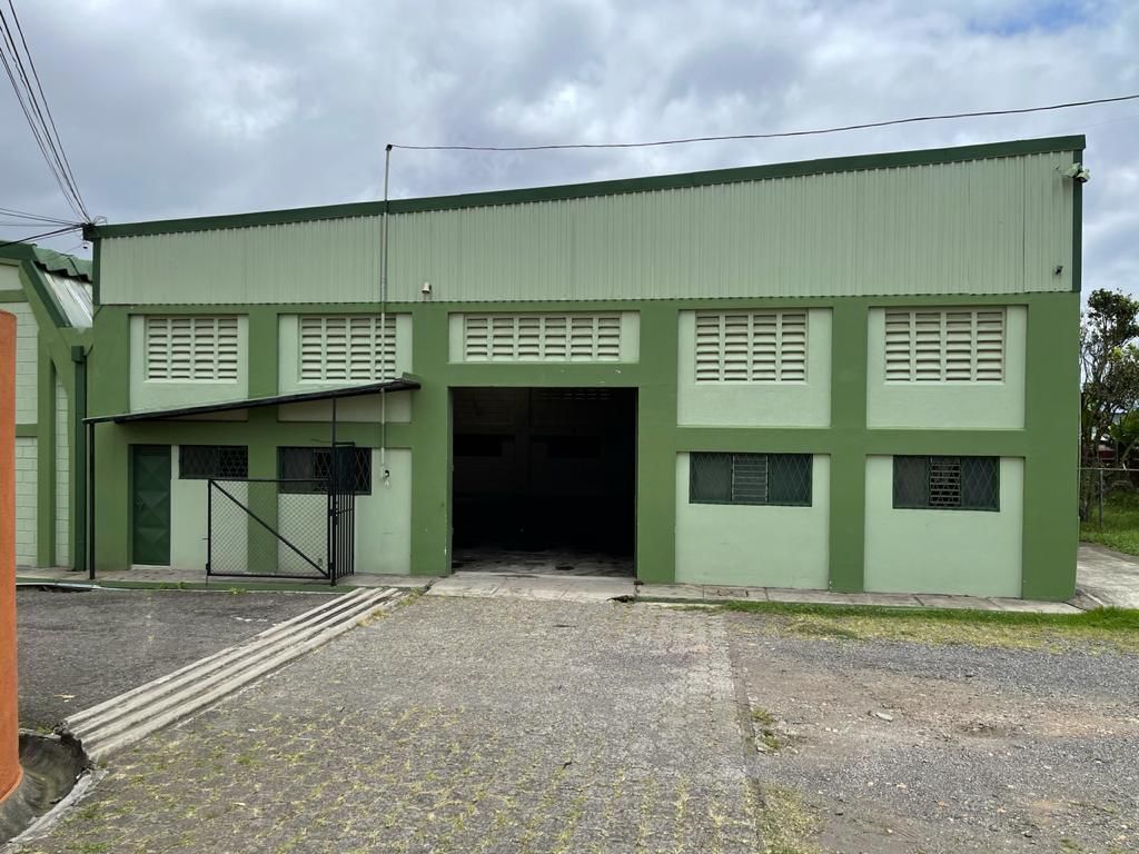 1 de 7