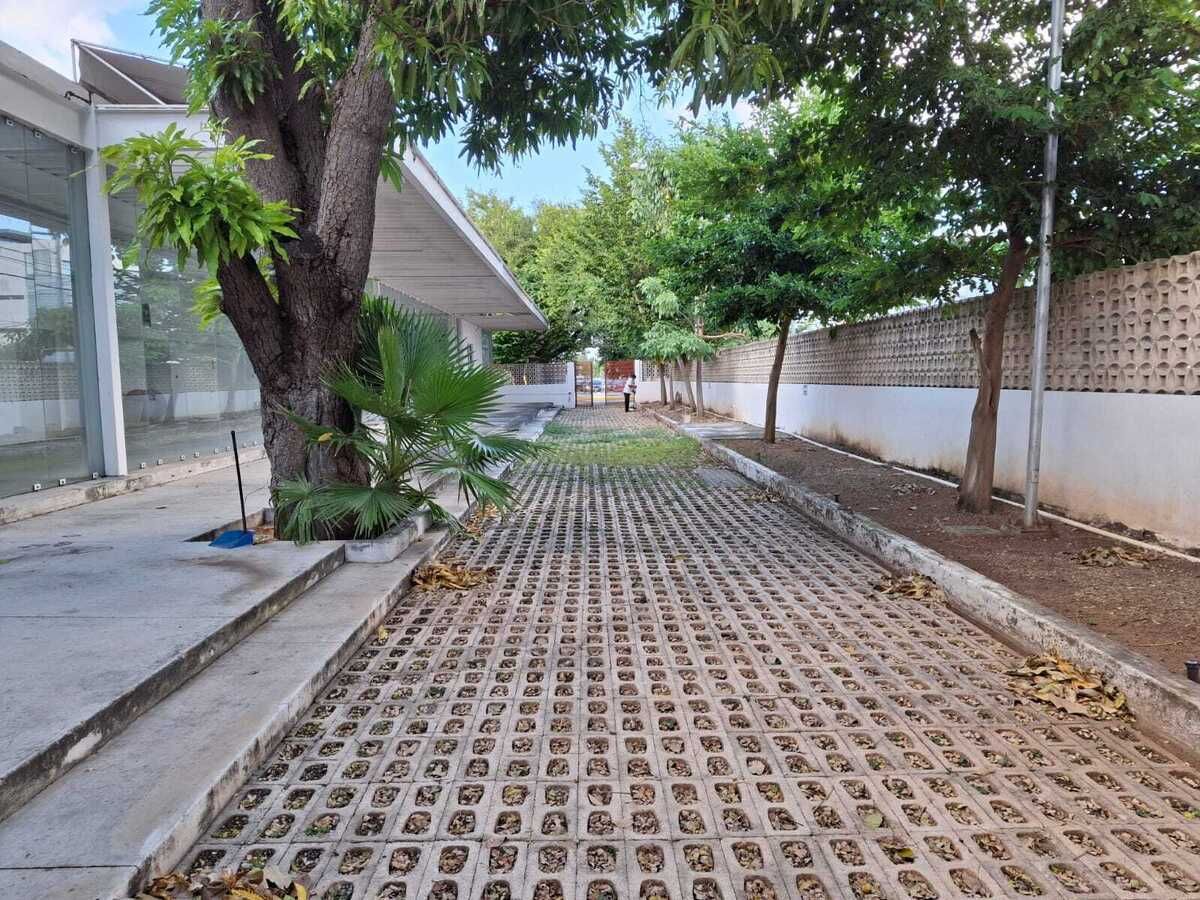 24 de 27