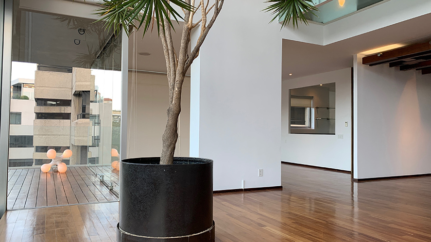 6 de 41: Sala terraza