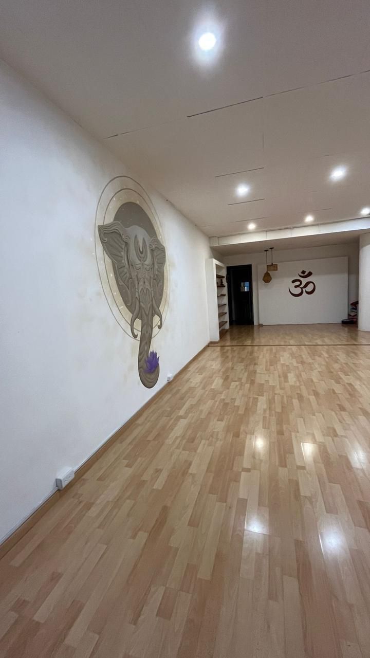 5 de 6