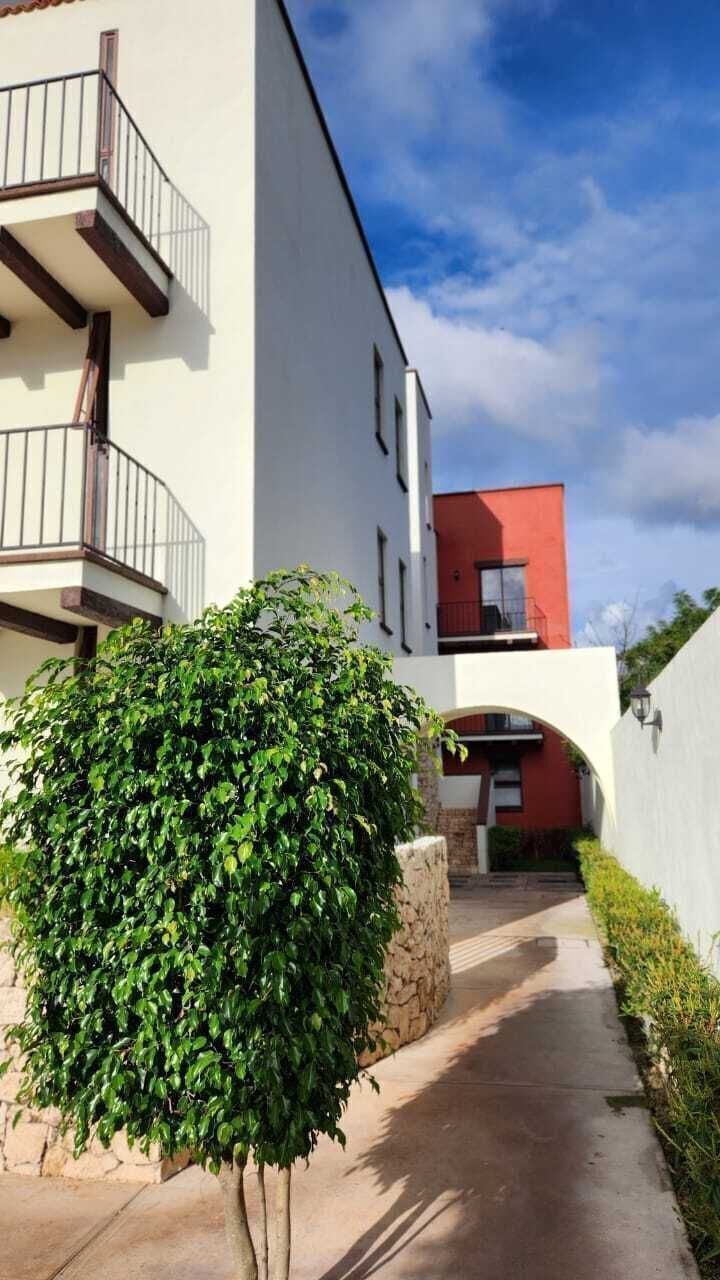 1 de 19