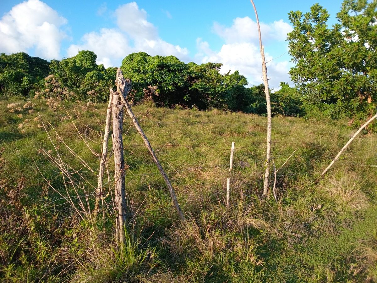 Terrenos en Venta Nagua, María Trinidad Sánchez