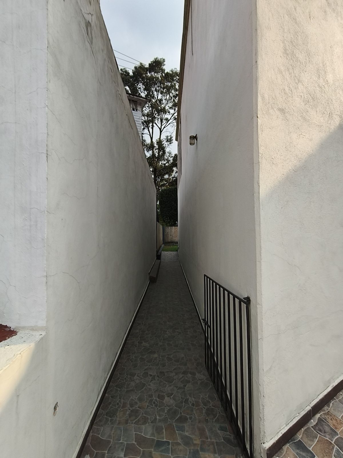 36 de 43: Pasillo a jardín y patio delantero