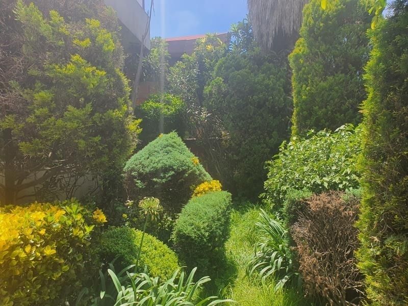 5 de 36