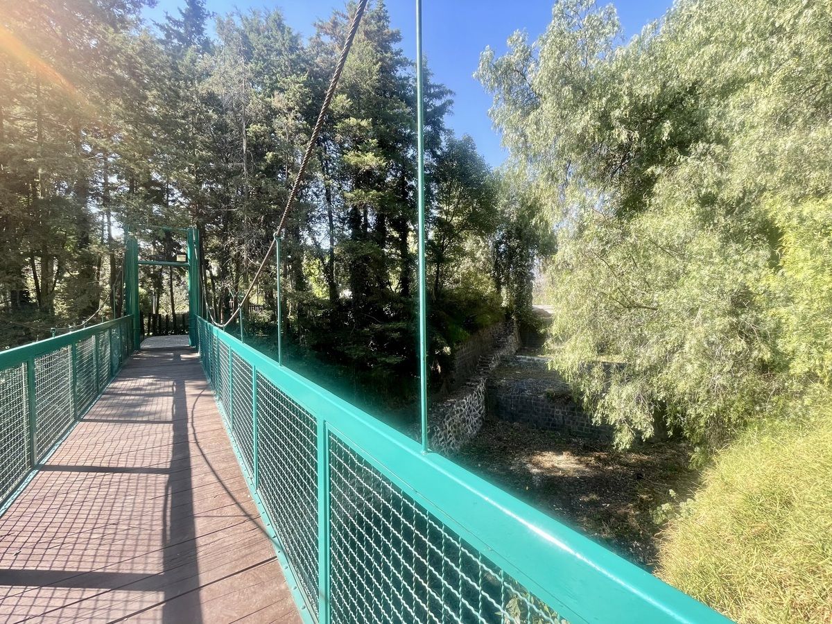 9 de 37