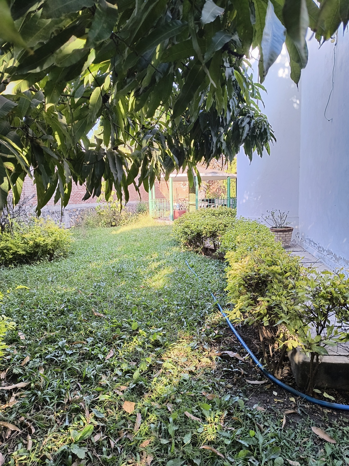 18 de 18
