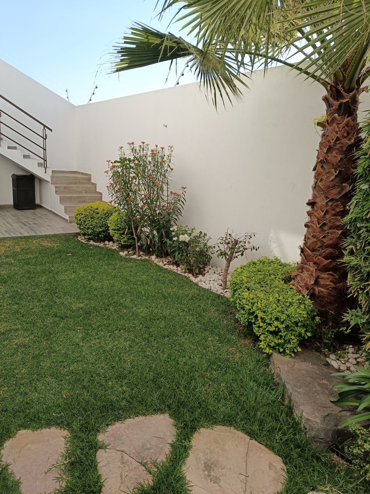 23 de 34: Jardín