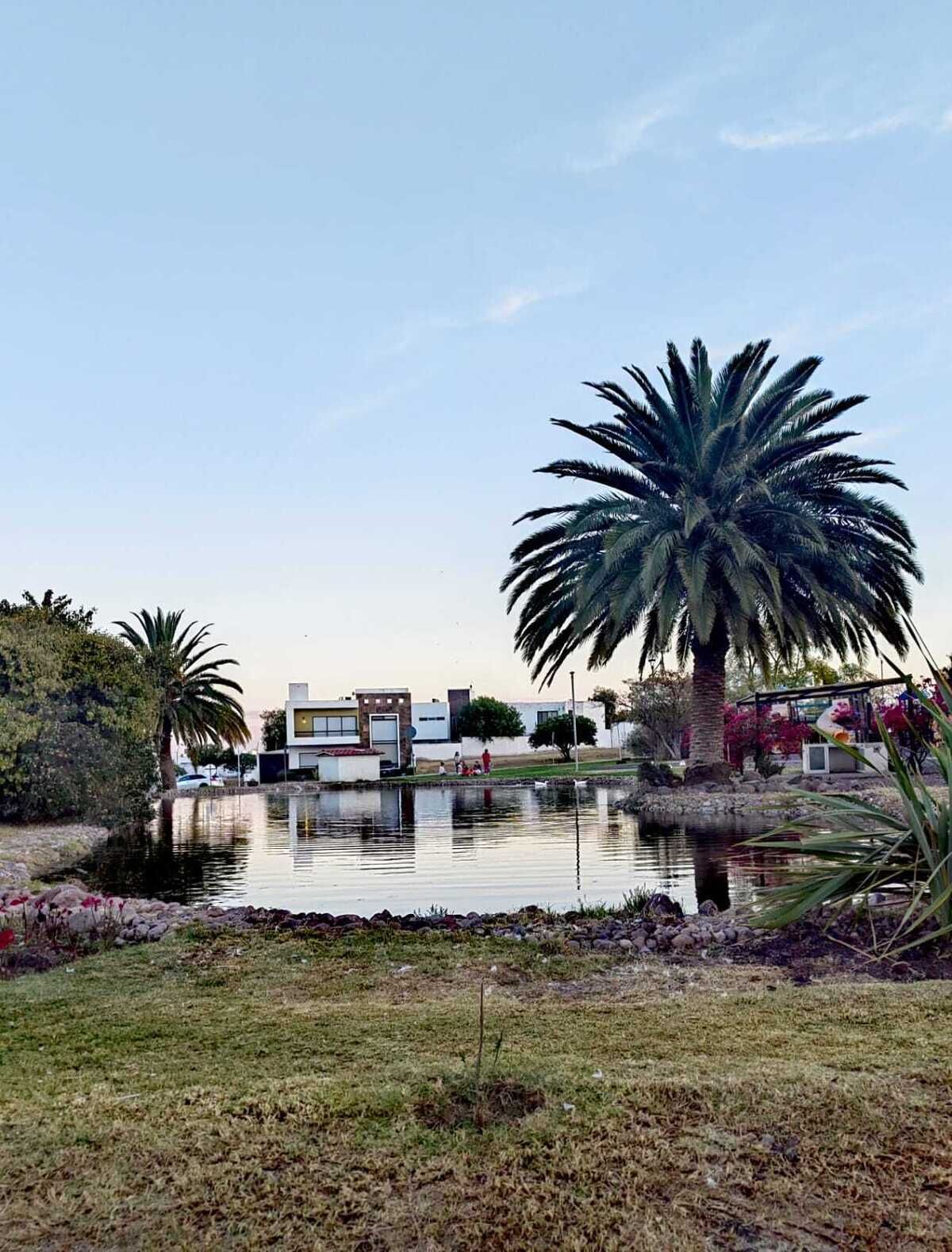 31 de 32: Lago