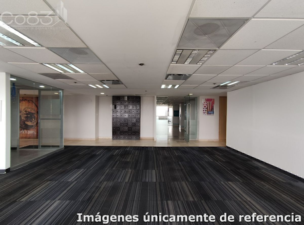 11 de 12