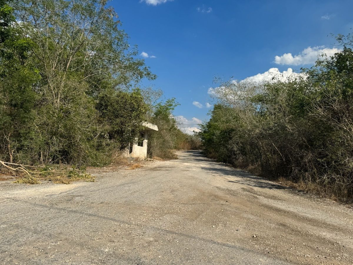 5 de 24