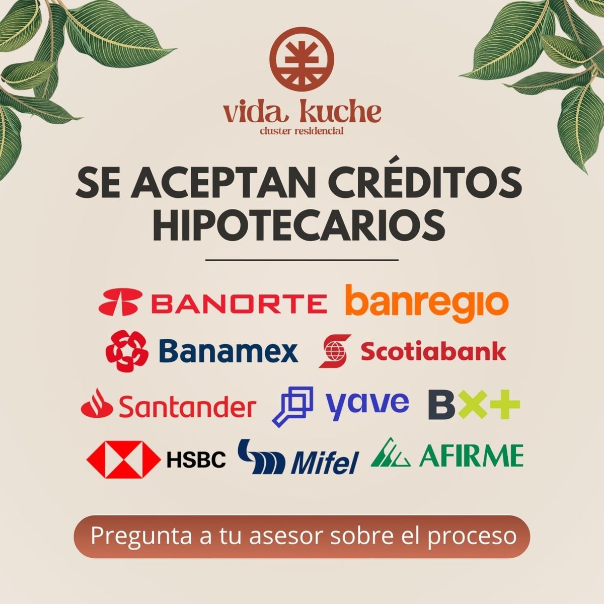 8 de 8