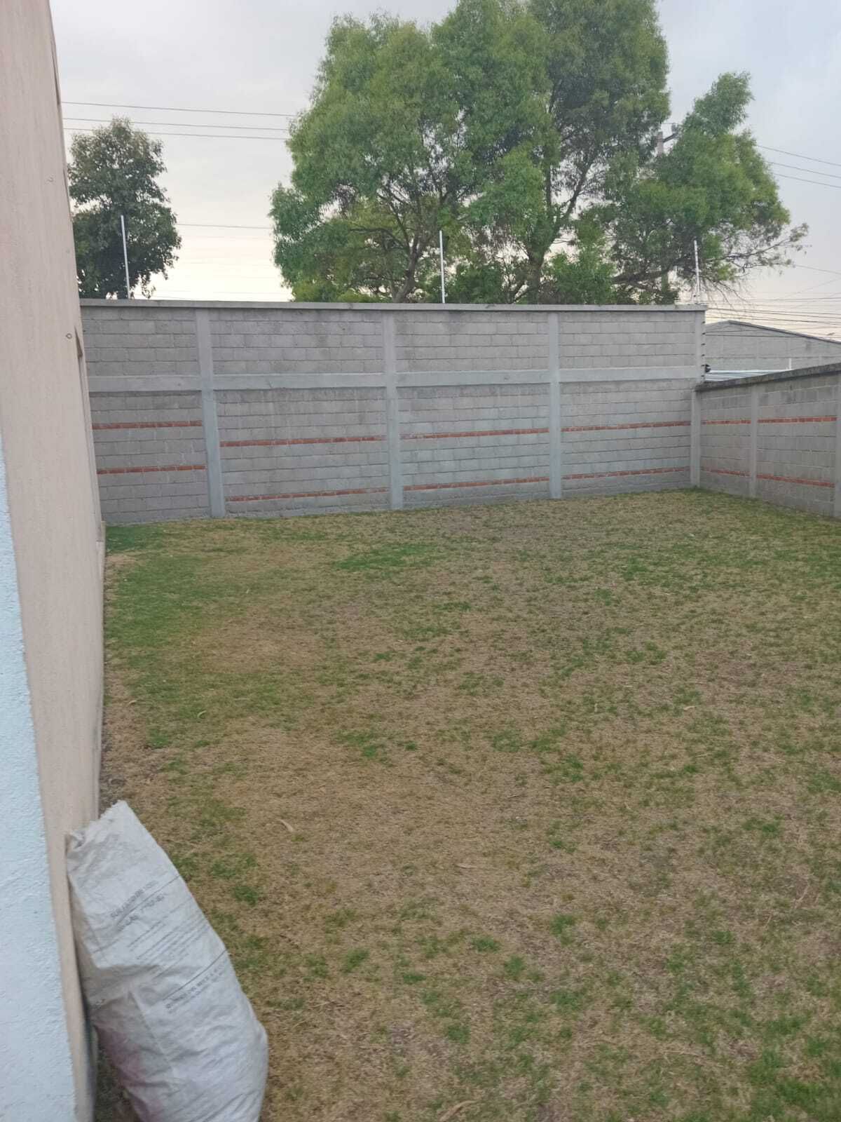 26 de 29