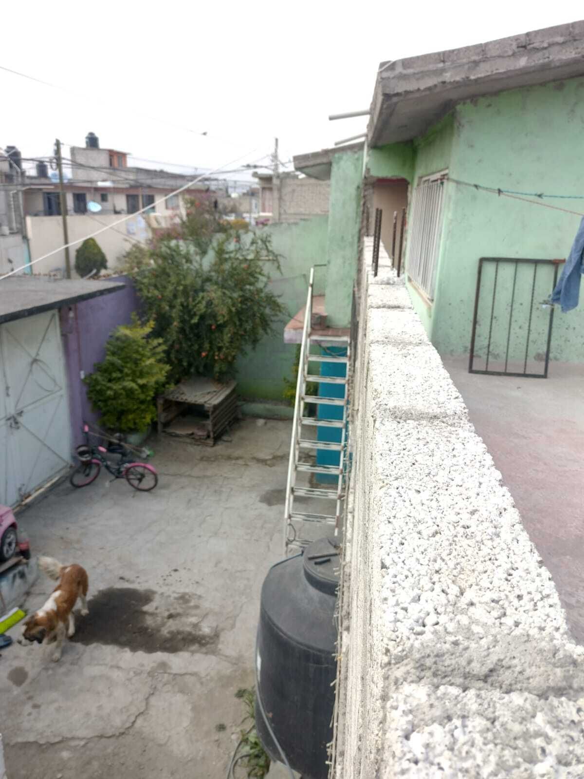 2 de 6