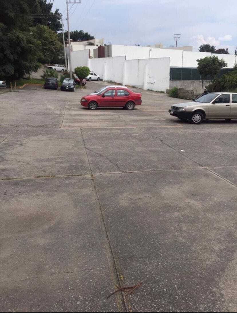 Imagen 3 de 9
