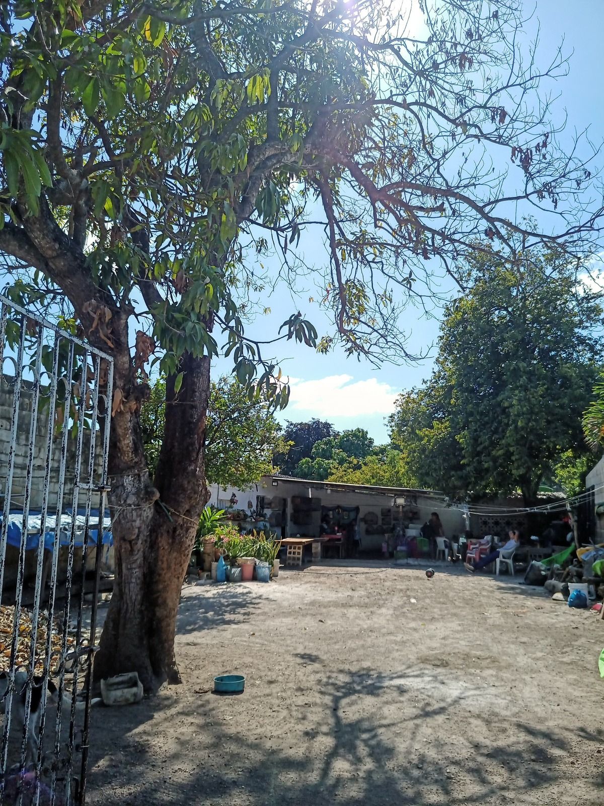 1 de 6: TERRENO