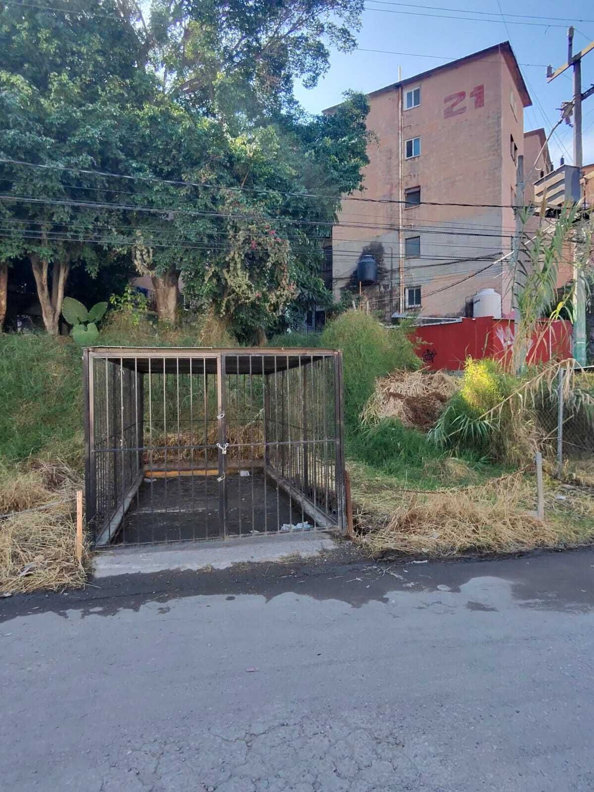19 de 19