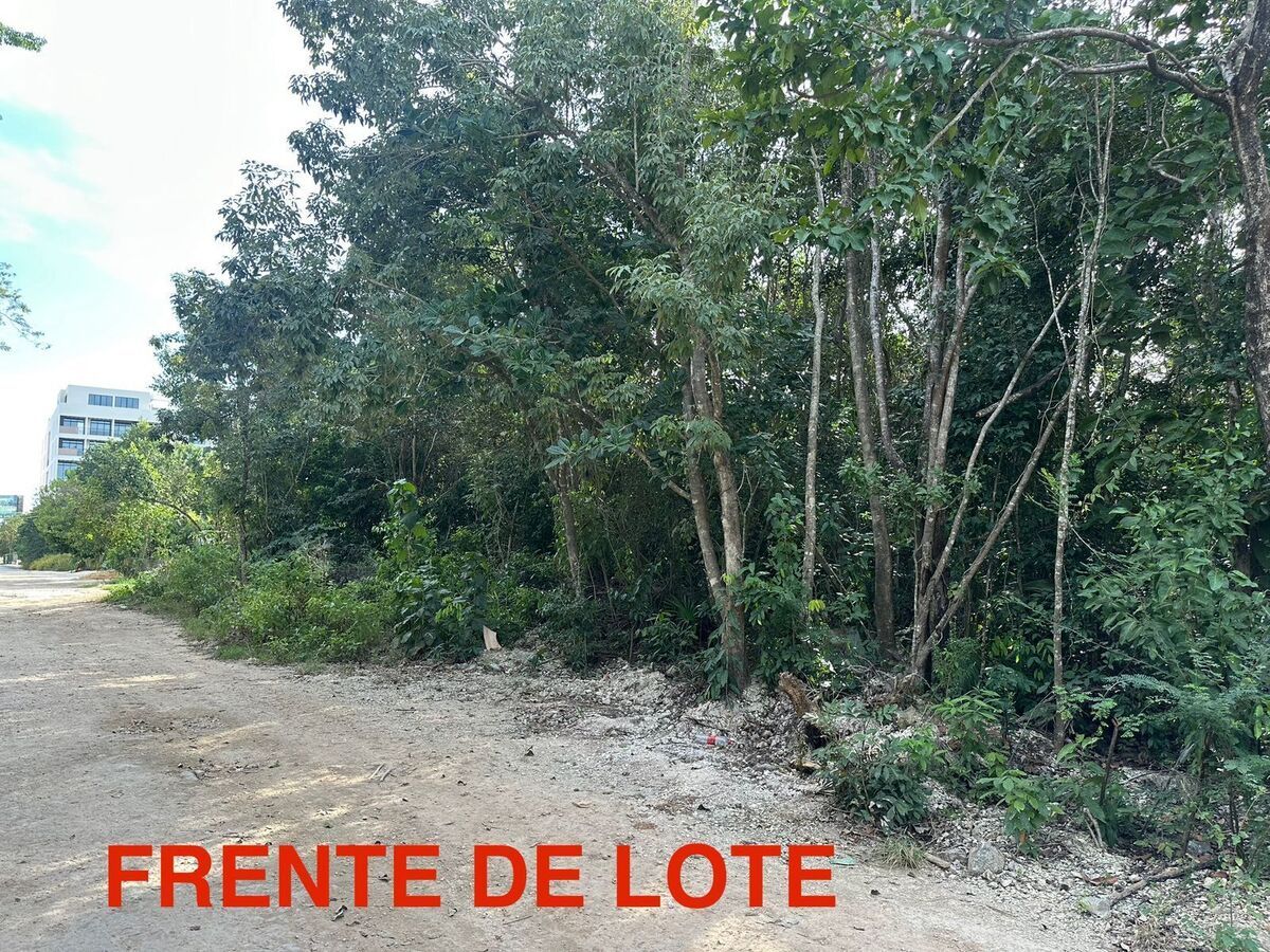 Frente de lote