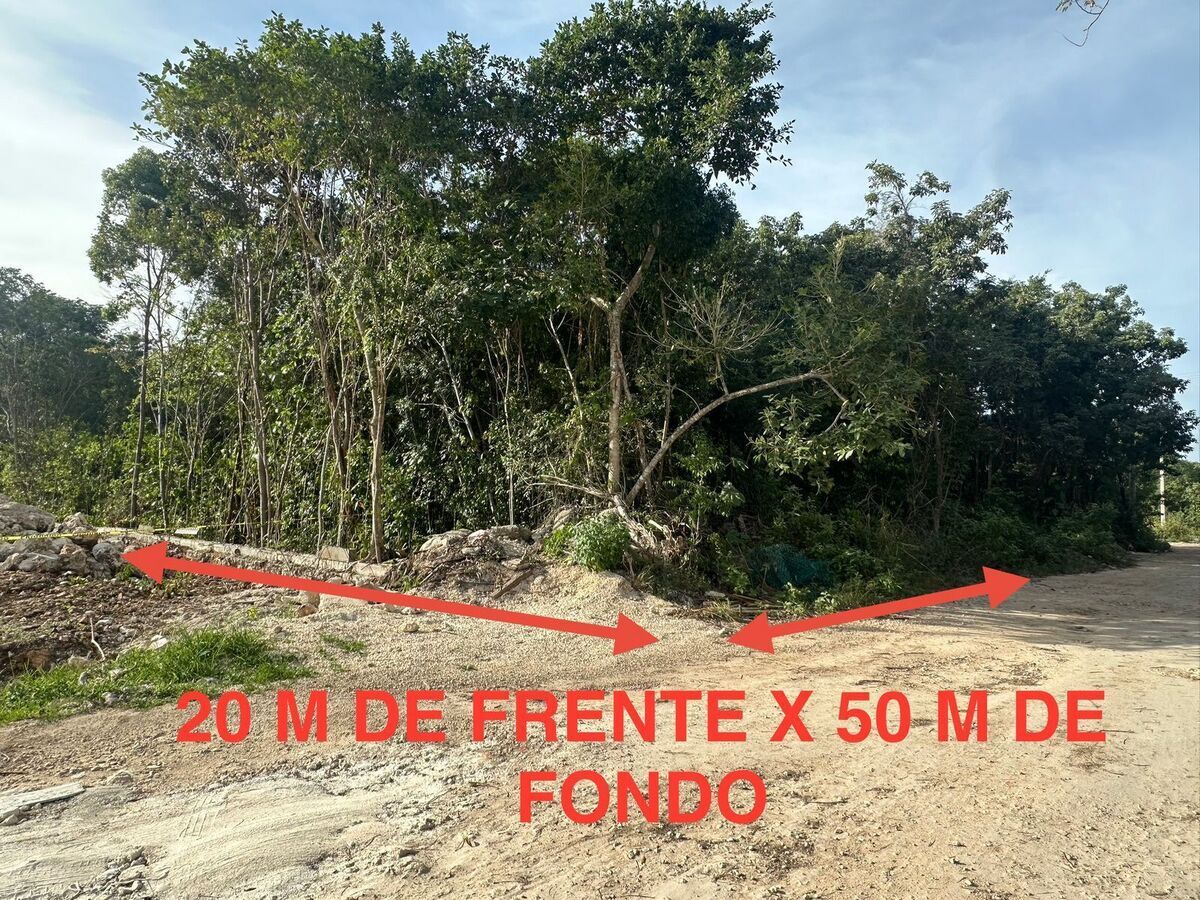 20 mts de frente x 50 mts de fondo