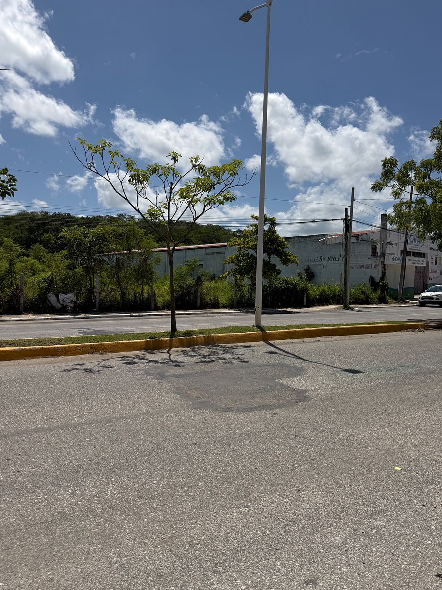 NÓ MESTRES 6K, foto 1 de 22