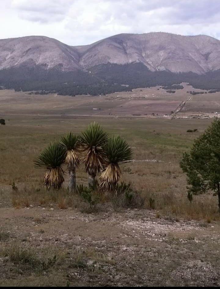 3 de 9