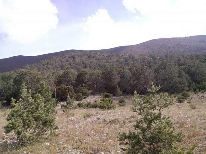 5 de 9