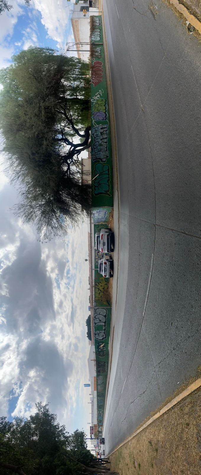 4 de 6