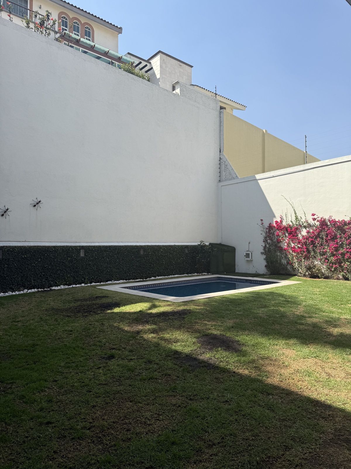 12 de 45: Alberca Jardín