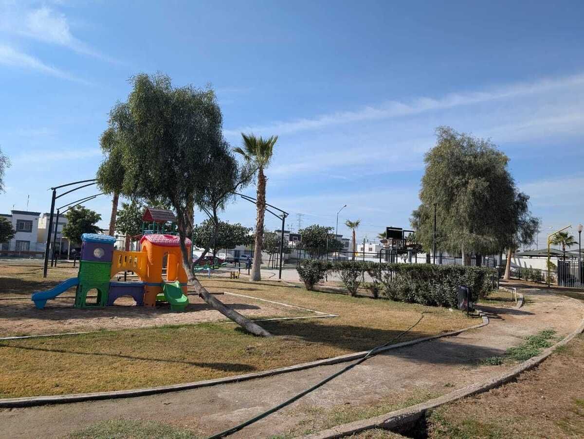 12 de 14