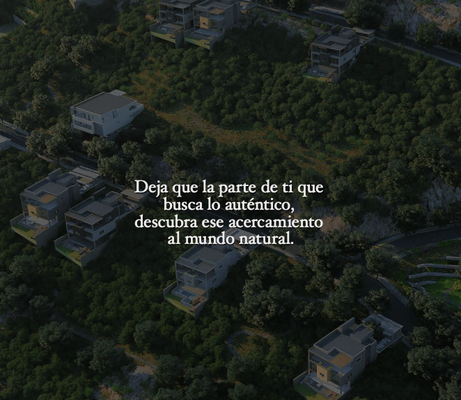 5 de 16