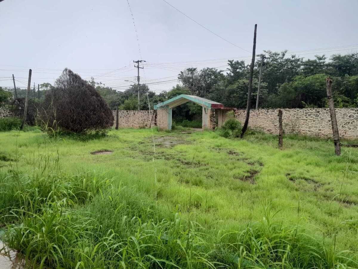 1 de 19