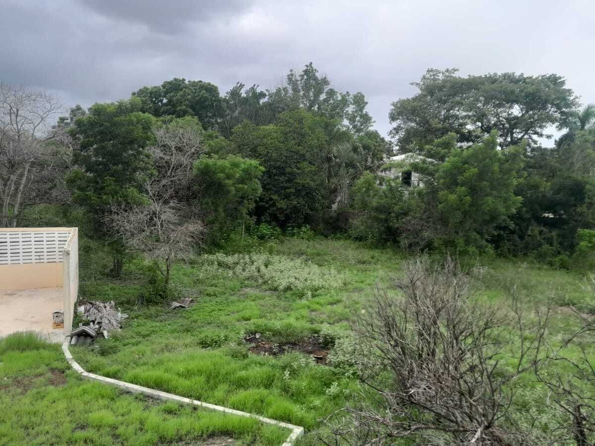 5 de 19