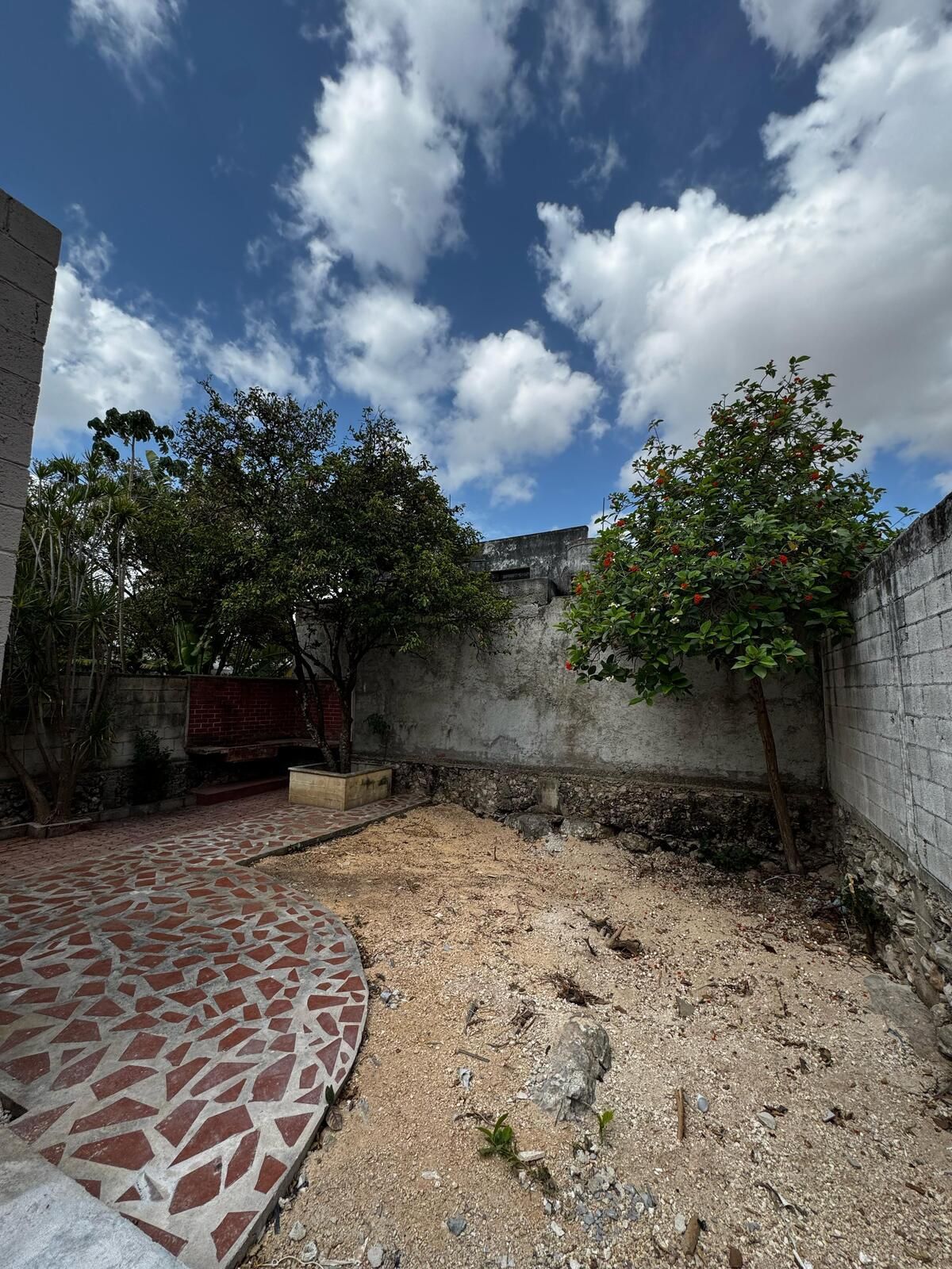 23 de 28: Patio