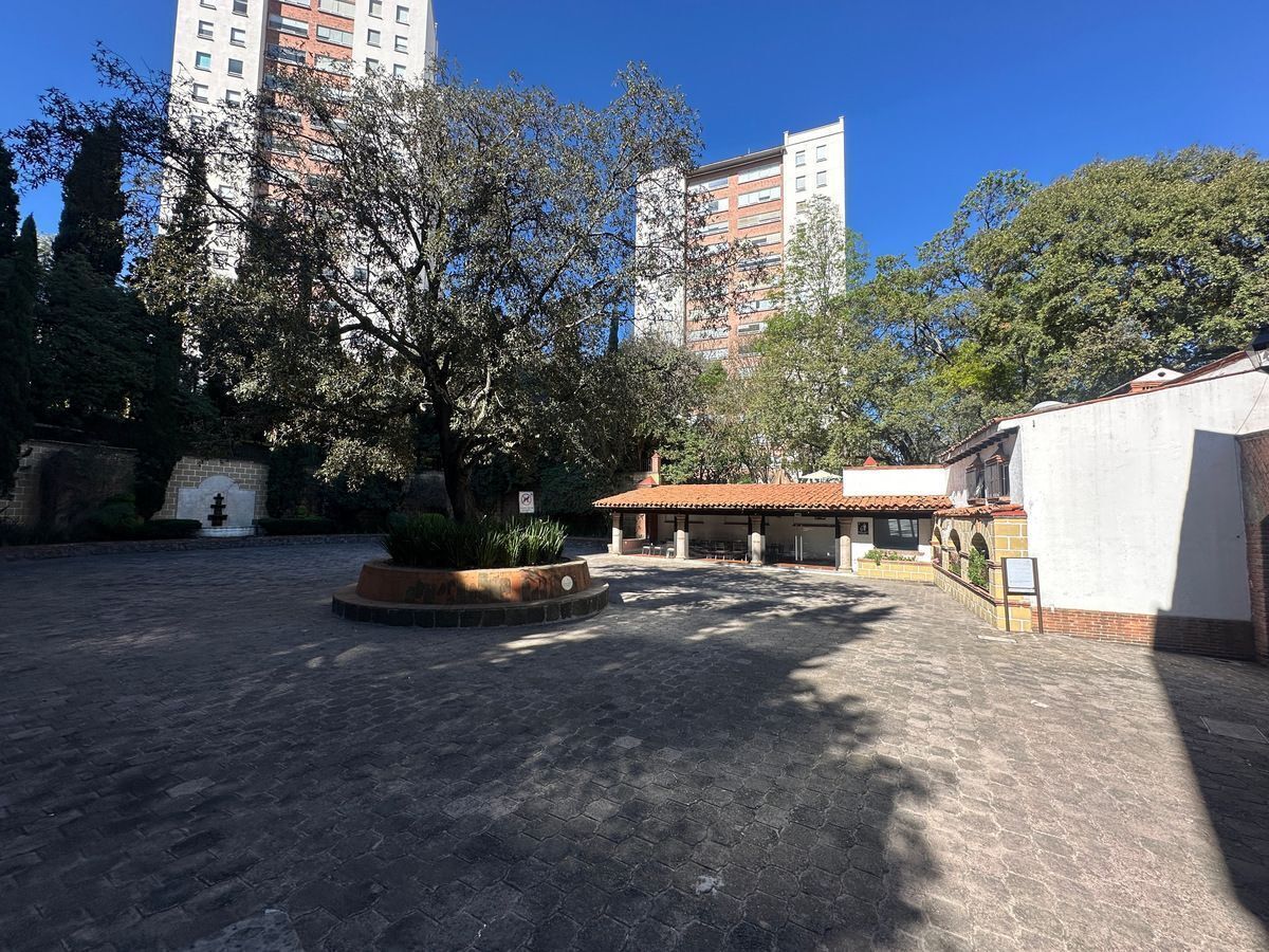 19 de 24