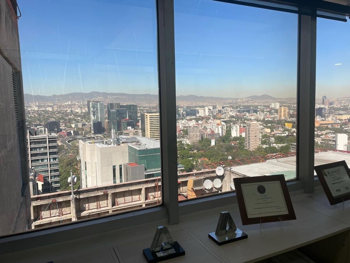 11 de 24