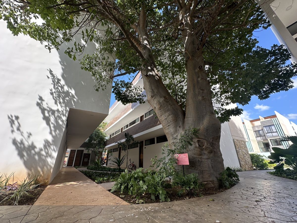 17 de 20: Espacios conectados con la naturaleza