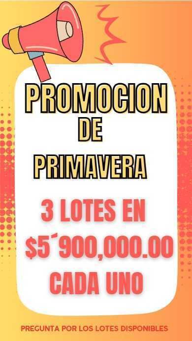 1 de 31