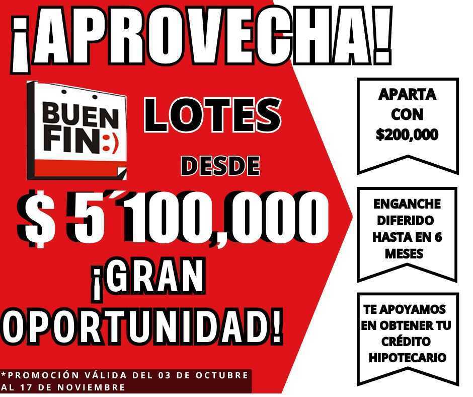 1 de 31