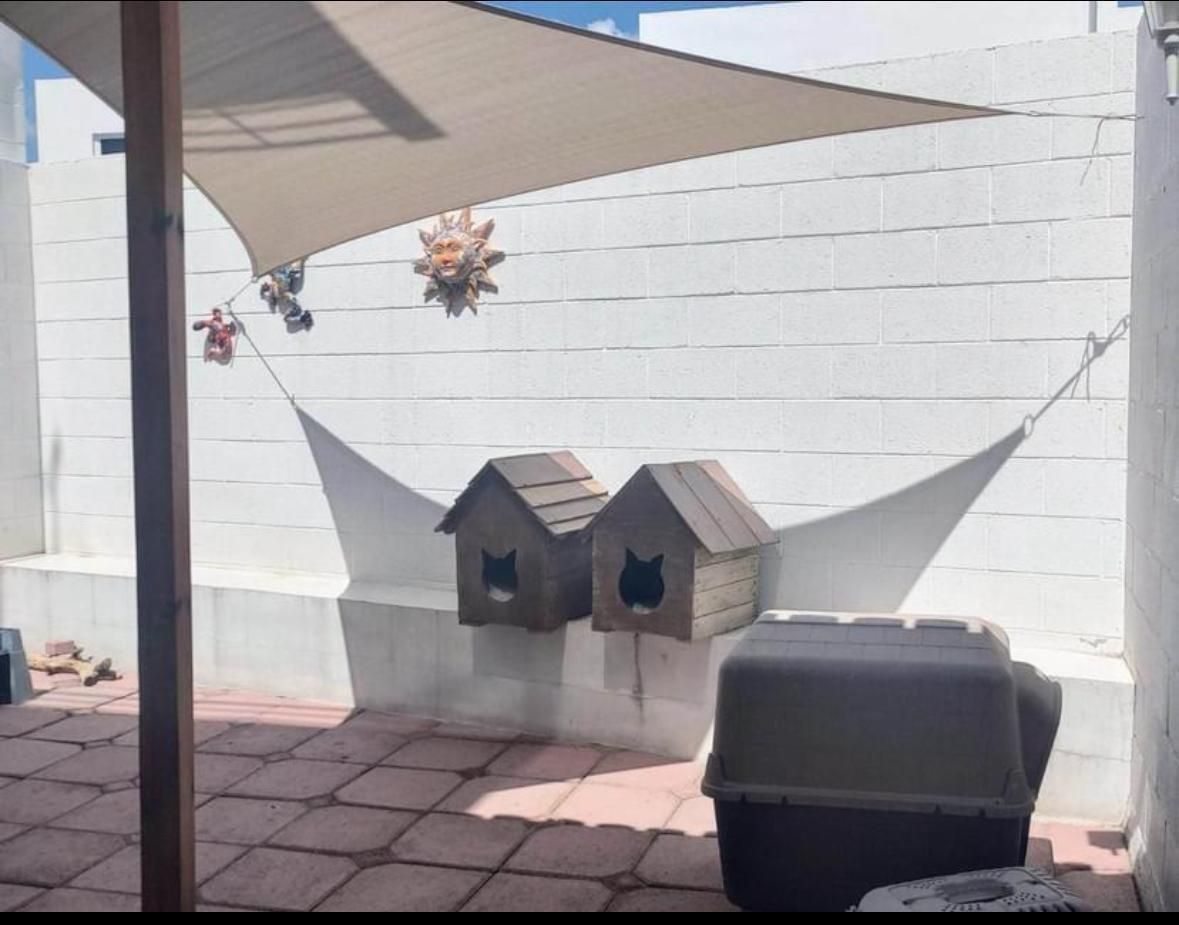 5 de 14: Patio trasero