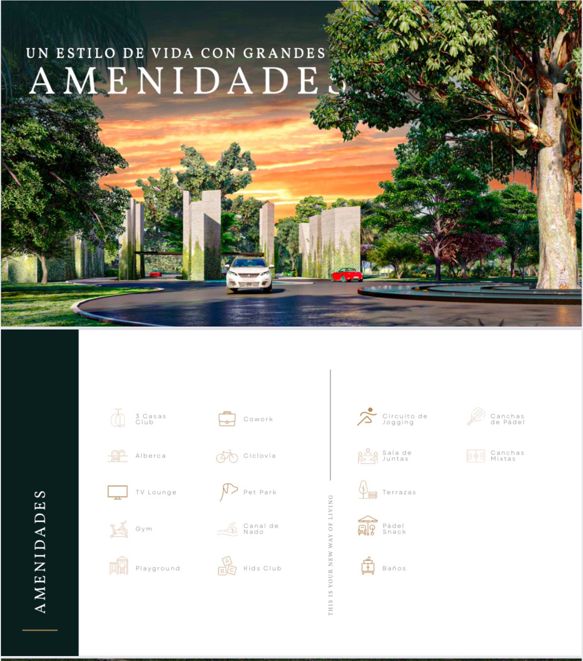 1 de 3