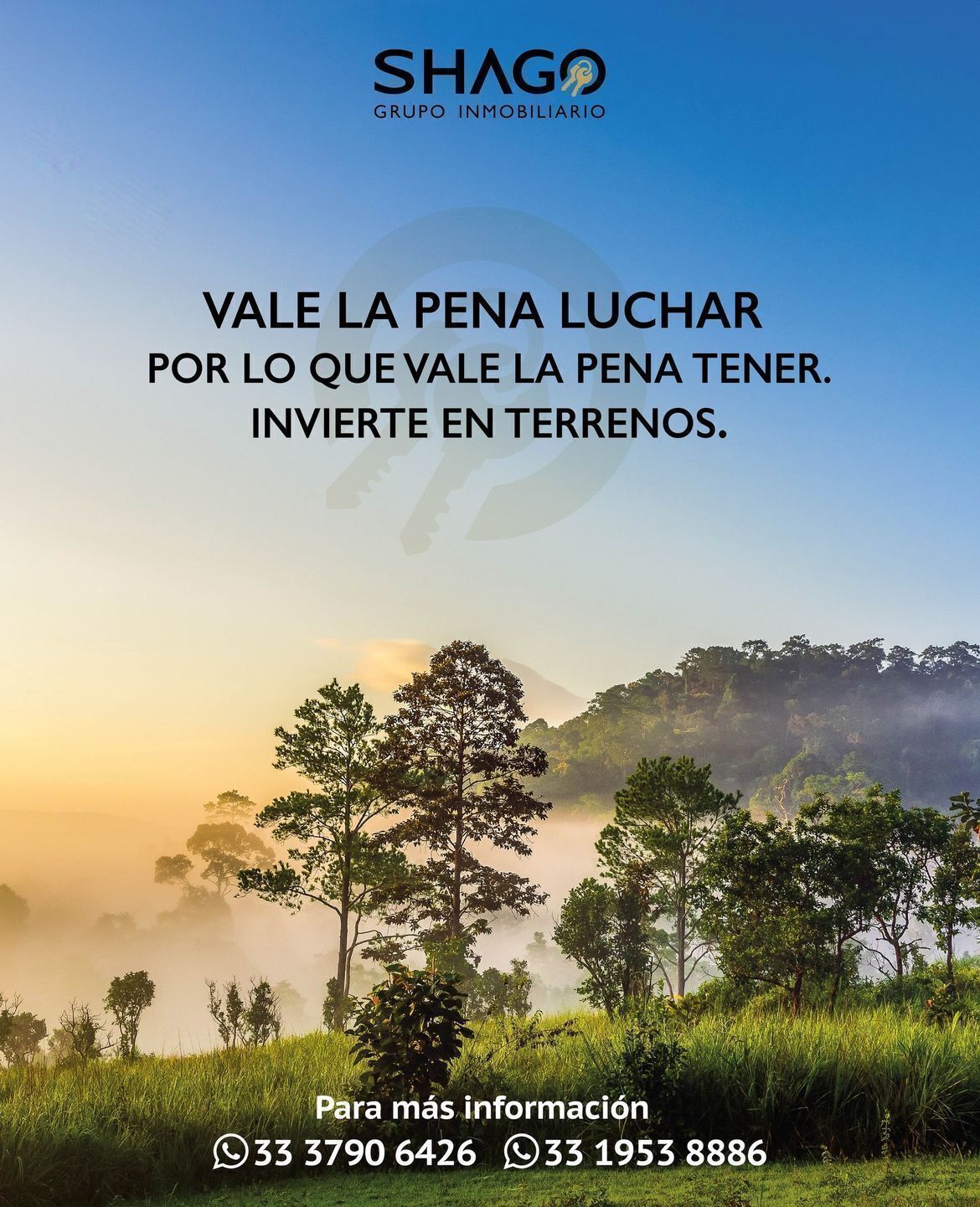 35 de 37