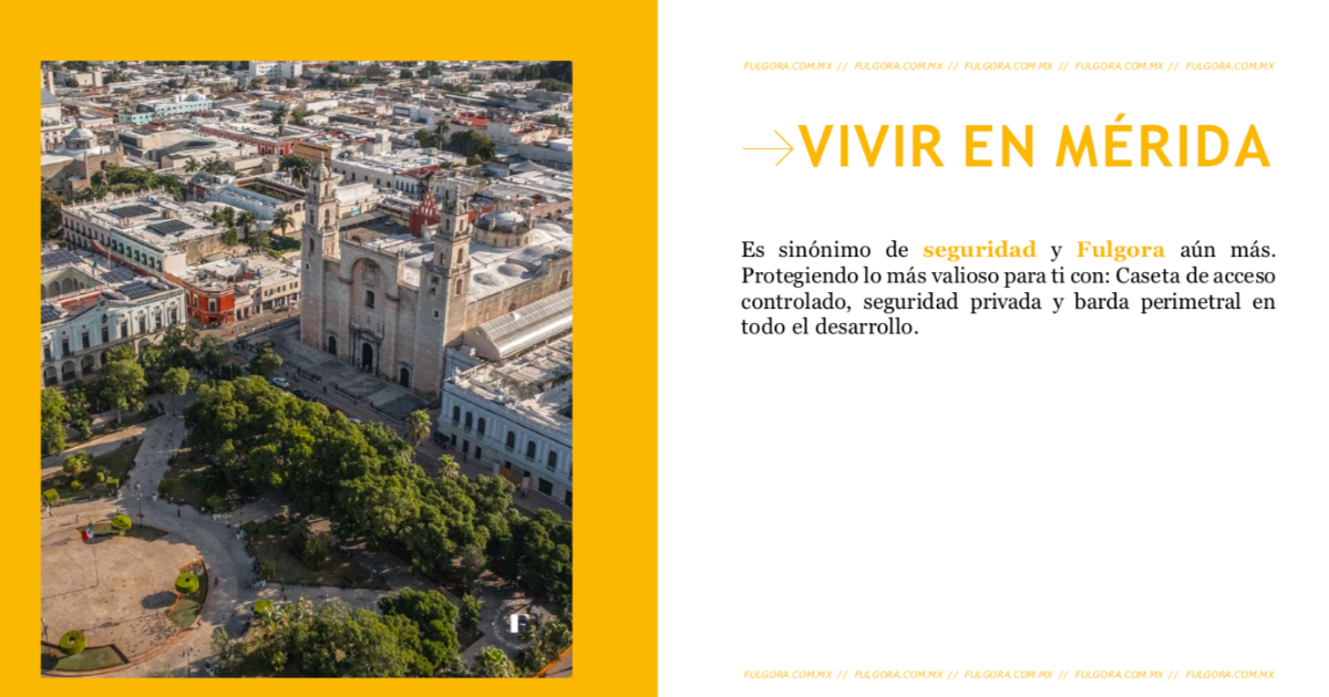 10 de 24