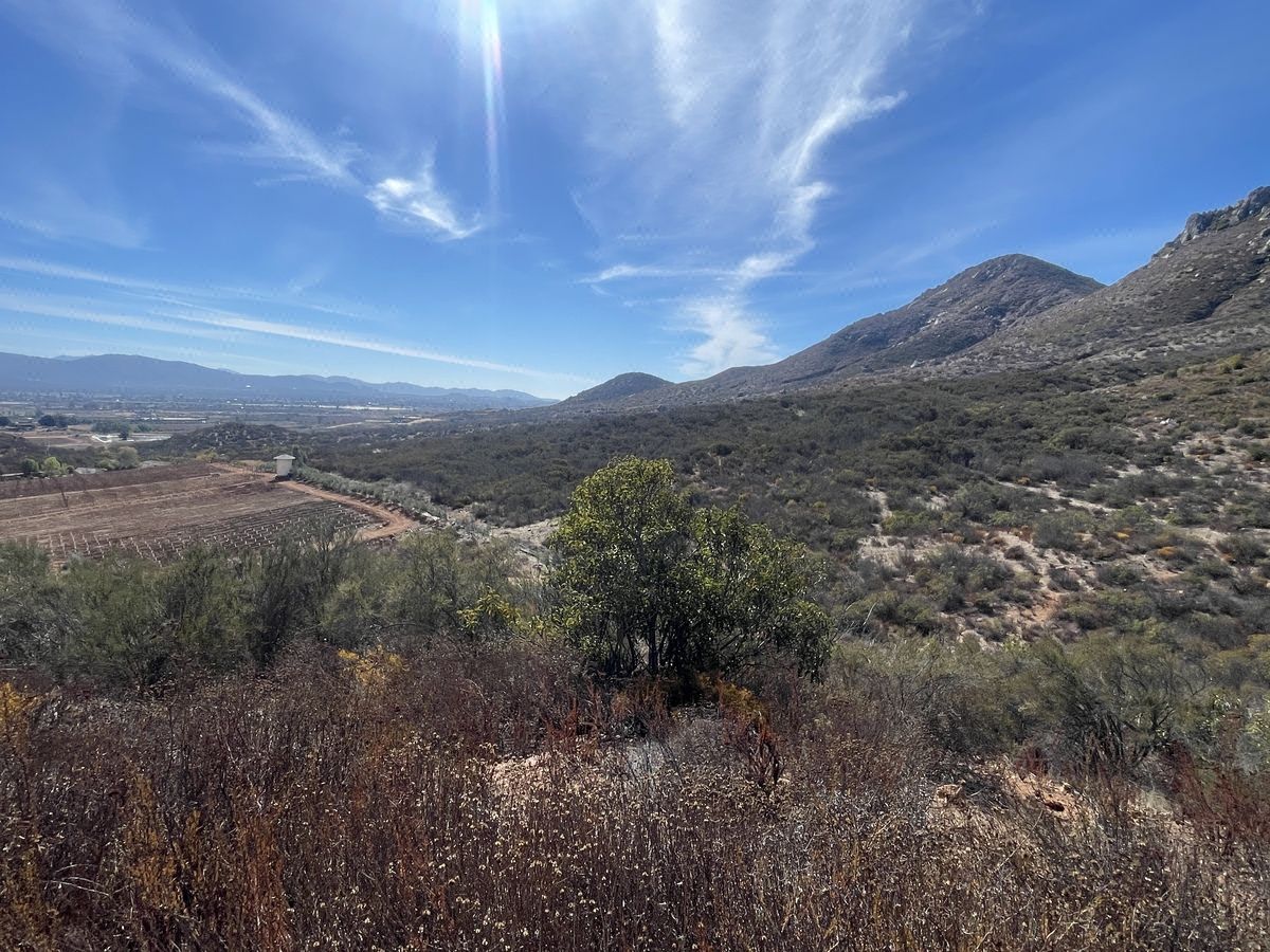 Terreno campestre en Venta, ubicación privilegiada en Valle de Guadalupe